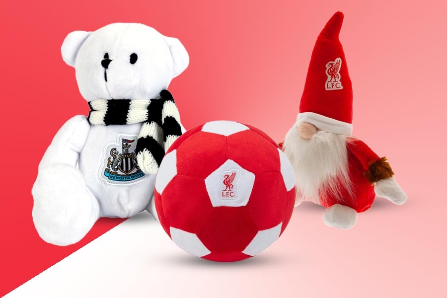 Bear and Soft Toys
