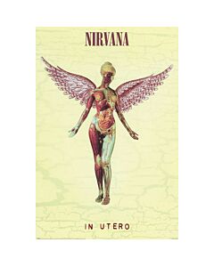 Nirvana In Utero Poster 31 Maznun Football
