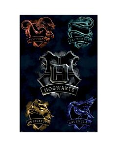Harry Potter Houses Poster 79 Maznun Football