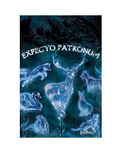 Harry Potter Poster Patronus 288-127664