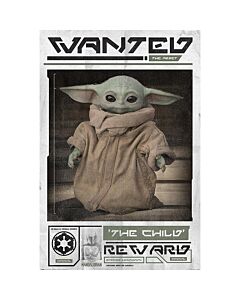 Star Wars: The Mandalorian Poster Wanted The Child 228-173354