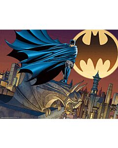 Batman 3D Image Puzzle 500pc Signal-179748