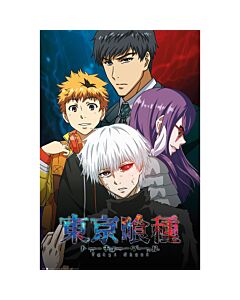 Tokyo Ghoul Poster Conflict 285-184540