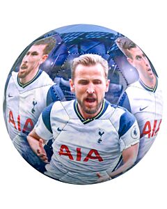 Tottenham Hotspur FC Players Photo Football-190916