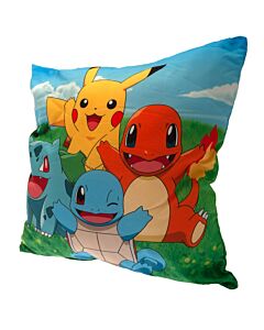 Pokemon Cushion-194309