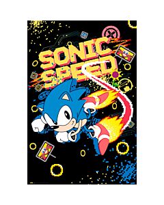 Sonic The Hedgehog Poster 11-TM-00659