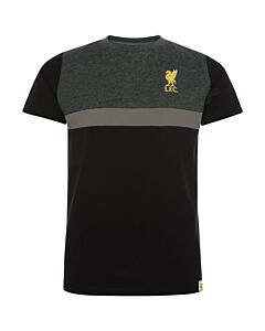 Liverpool FC Panel T Shirt Junior 5-6 Yrs-TM-01018