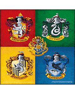 Harry Potter Crests Framed 3D Picture-TM-01462