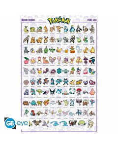 Pokemon Poster Sinnoh 73-TM-01665