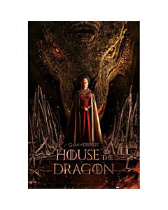 House Of The Dragon Poster 276-TM-01739