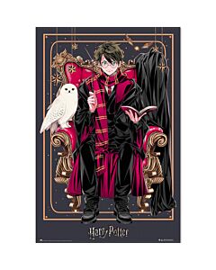 Harry Potter Poster Dynasty Harry 29-TM-01742