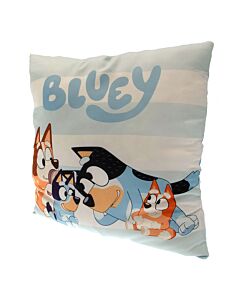 Bluey Cushion-TM-03395