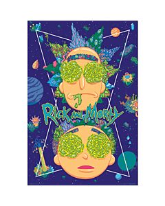 Rick And Morty Poster Sky 92-TM-00658