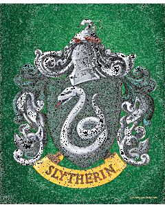 Harry Potter Slytherin Framed 3D Picture-TM-05582
