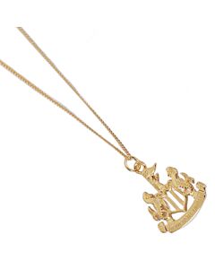 Newcastle United FC 18ct Gold Plated on Silver Pendant & Chain-TM-06379