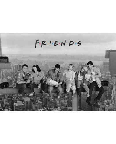 Friends Poster Skyscraper 127-163594