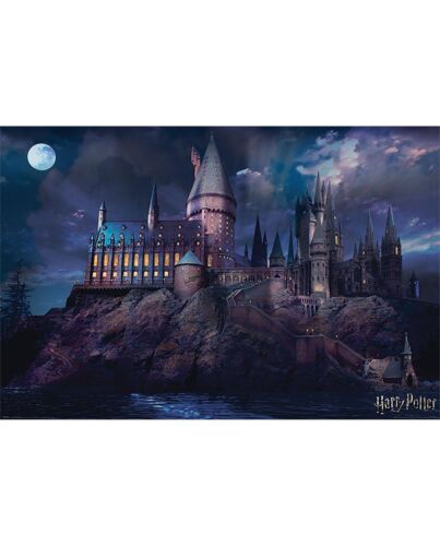 Harry Potter Poster Hogwarts Night 299-145720