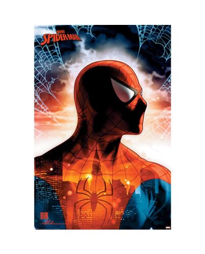 Spider-Man Poster 112-167985