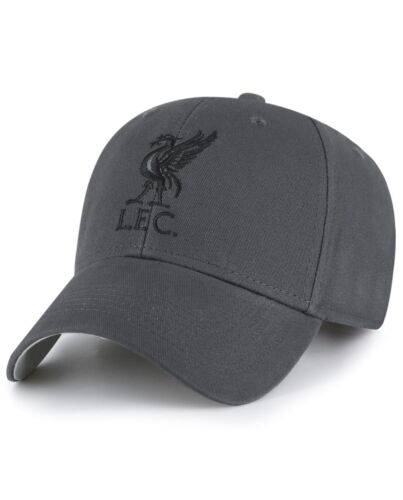 Liverpool FC Core Charcoal Cap-184235