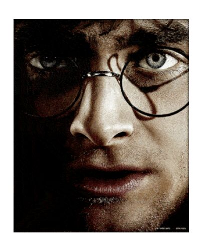 Harry Potter Framed 3D Picture-TM-00929