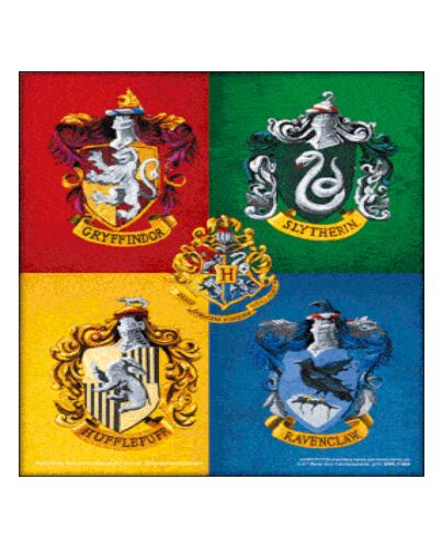 Harry Potter Crests Framed 3D Picture-TM-01462