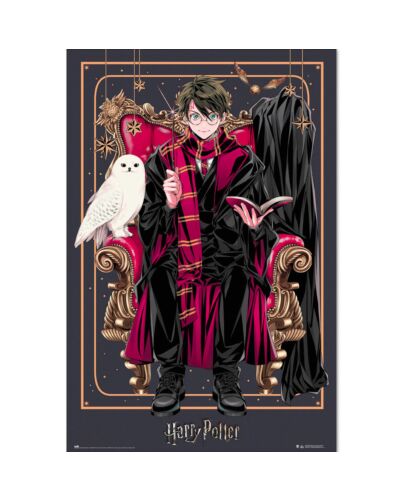 Harry Potter Poster Dynasty Harry 29-TM-01742