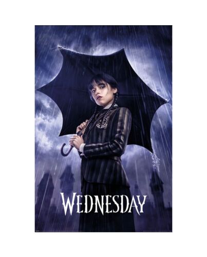 Wednesday Poster Downpour 246-TM-02373
