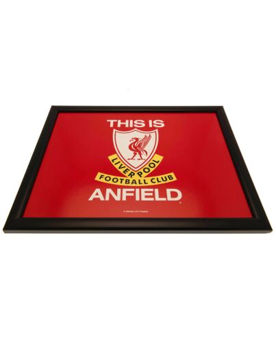 Liverpool FC Cushioned Lap Tray-TM-01517