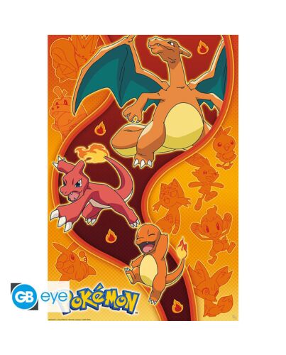 Pokemon Poster Fire Type 172-TM-04668