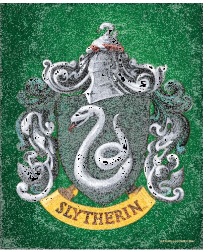 Harry Potter Slytherin Framed 3D Picture-TM-05582