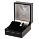 Tottenham Hotspur FC Sterling Silver Stud Earring