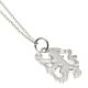 Chelsea FC Sterling Silver Lion Pendant & Chain