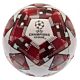 UEFA Champions League Red Star Football