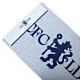 Chelsea FC Loop Pile Doormat