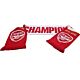 Arsenal FC Champions Scarf