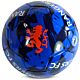Rangers FC Graffiti Football