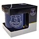 Everton FC Particle Mug
