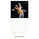 BBC Earth Square Calendar 2027