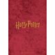 Harry Potter A5 Diary 2027