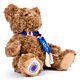 Rangers FC Supersoft Classic Bear