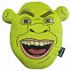 Shrek Shaped Cushion