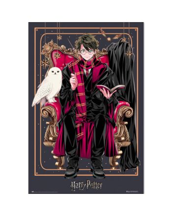 Harry Potter Poster Dynasty Harry 29-TM-01742