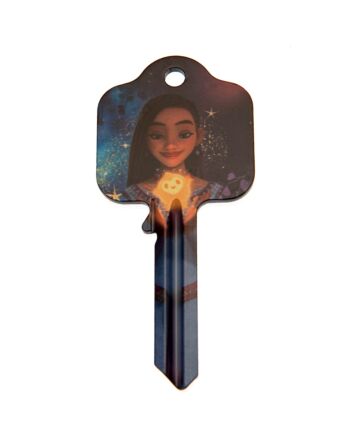 Wish Door Key Asha-TM-04106