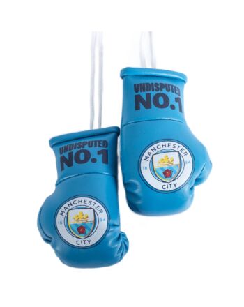 Manchester City FC Mini Boxing Gloves-TM-03958