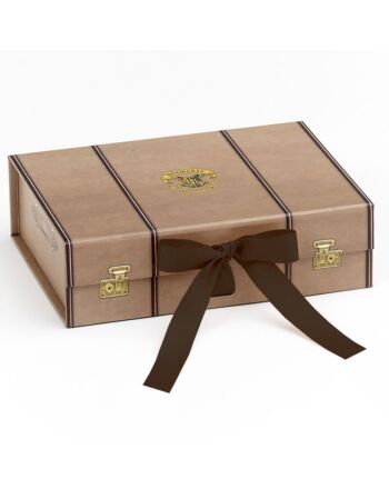 Harry Potter Small Trunk Gift Box-TM-05323