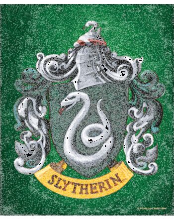 Harry Potter Slytherin Framed 3D Picture-TM-05582