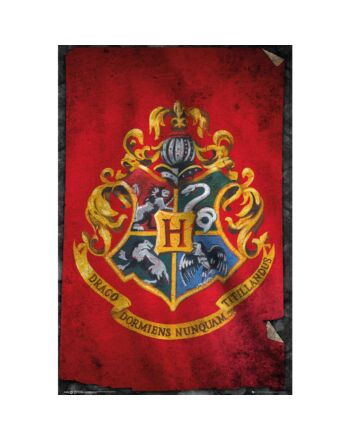 Harry Potter Poster Hogwarts 262-113794