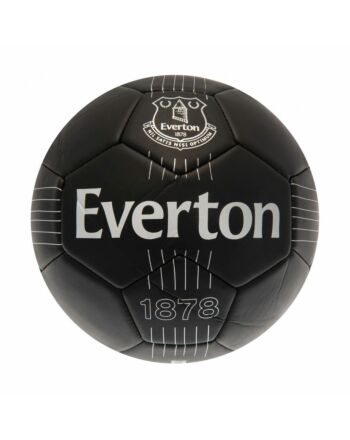 Everton FC React Skill Ball-141820