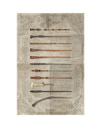 Harry Potter Poster Wands 161-149234