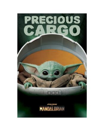 Star Wars: The Mandalorian Poster Precious Cargo 168-172444